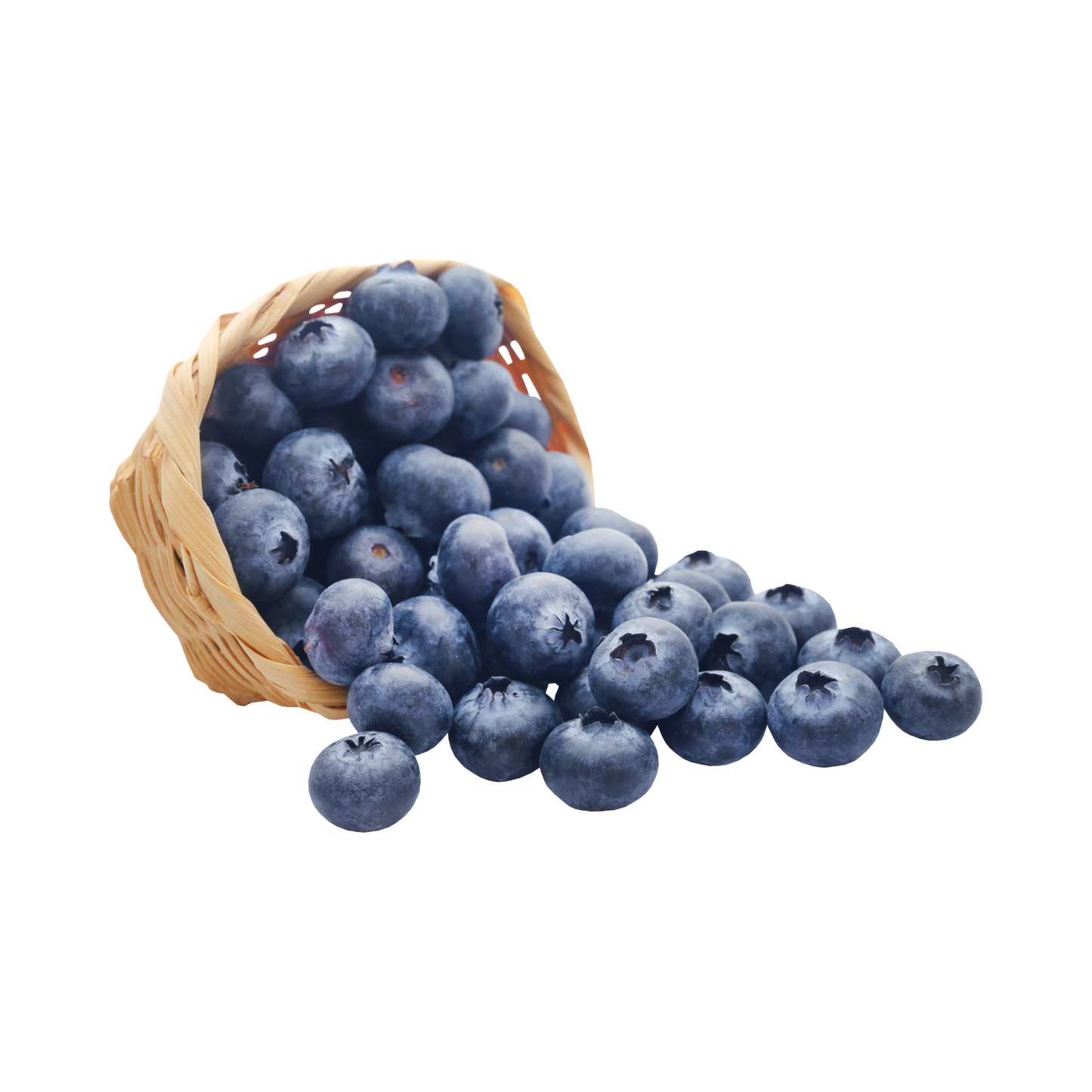 Morocco Jumbo Blueberry 125gm