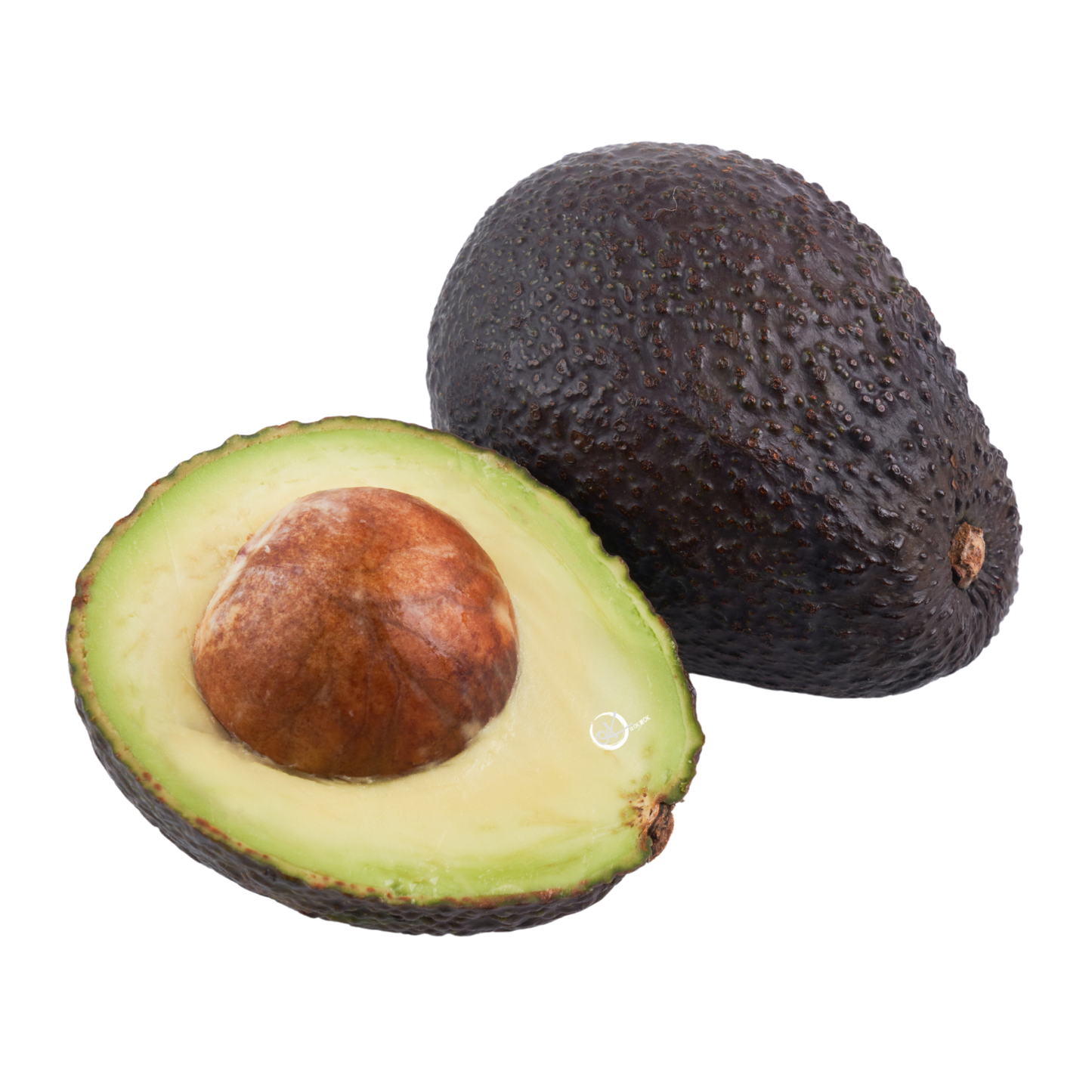 Australia Hass Avocado XL