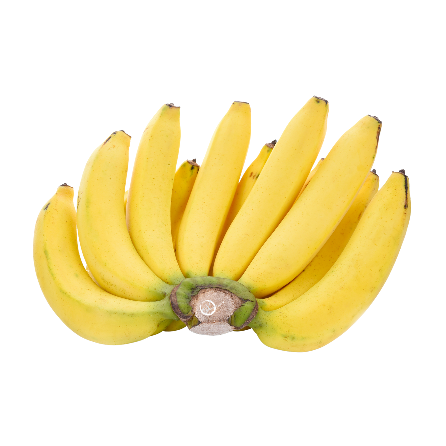 Malaysia Berangan Banana