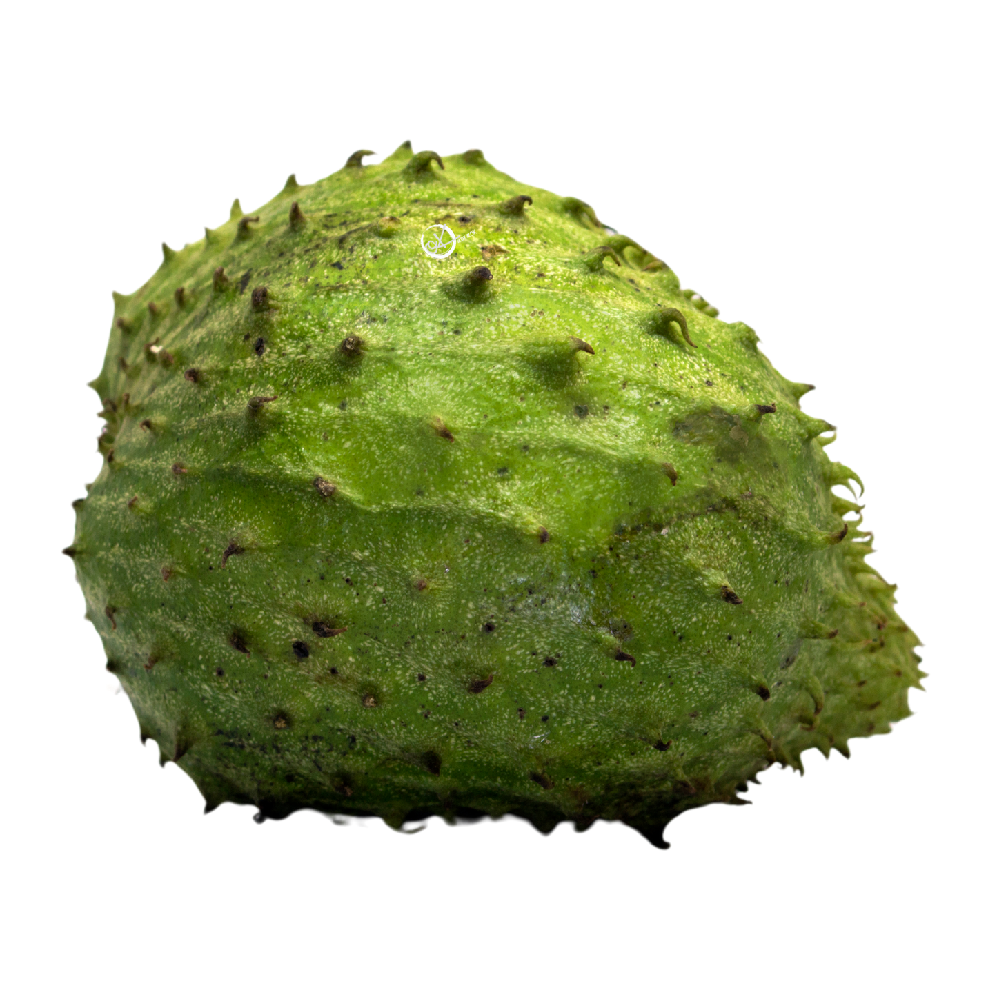 Malaysia Soursop 1s